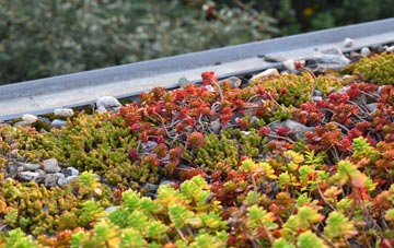 the cost of Wern green roof installation