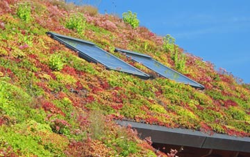 Wern living roof systems