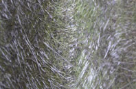 Wern fibreglass roof work